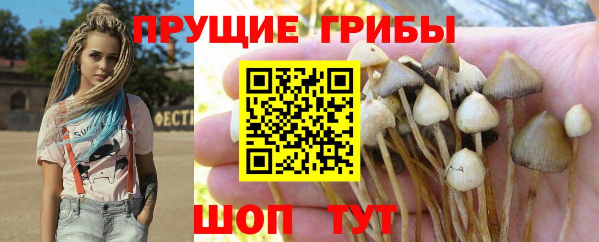 Галлюциногенные грибы Psilocybe  Псилоцибиновые грибы Psilocybine cubensis  что такое наркотик  Бутурлиновка  Вход с VPN 